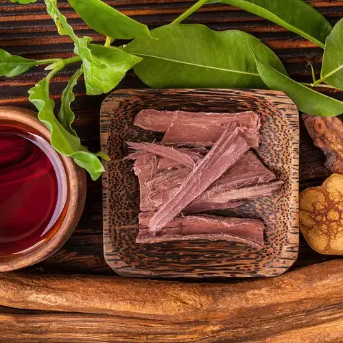 Ayahuasca